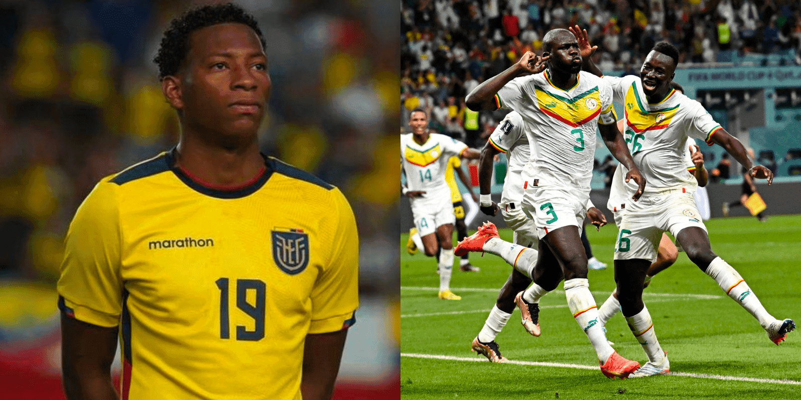 Los pupilos de Gustavo Alfaro han dado una grata sorpresa en el Mundial y esta vez enfrentaron a Senegal
