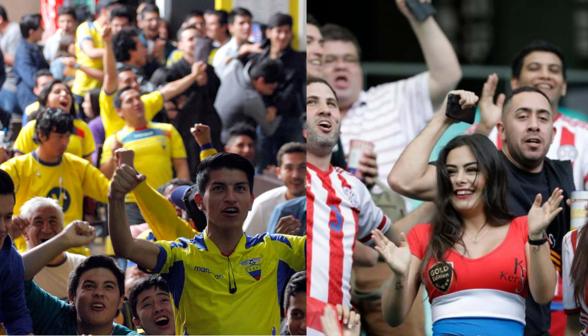 Mientras la Tri iba perdiendo, empezaron a gritar el "ole", los hinchas de la Tri no se quedaron atrás
