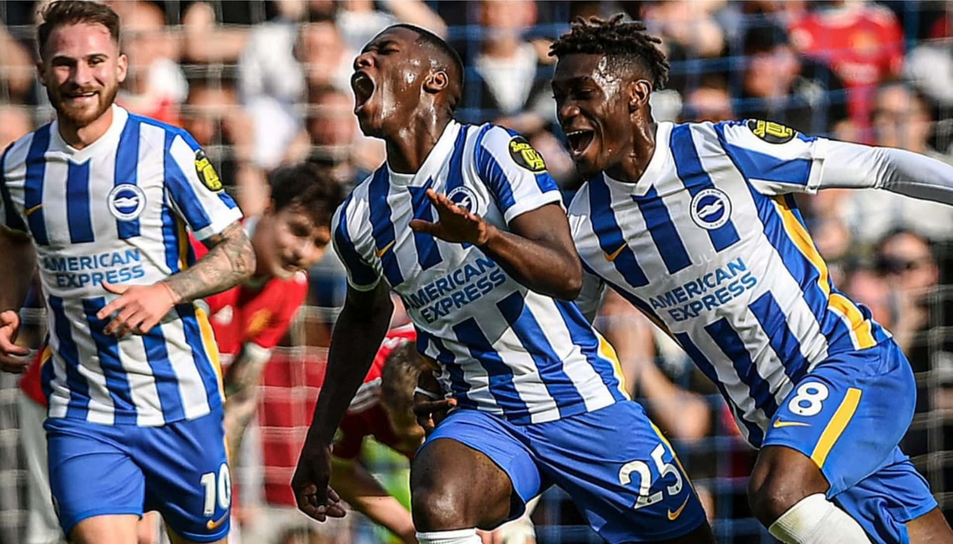 Moisés Caicedo anotó su primer tanto al Manchester United y lo celebró de manera inesperada