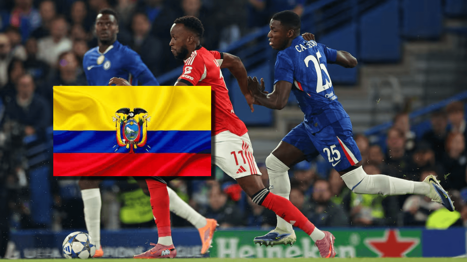 Moisés Caicedo-Chelsea / Foto: Chelsea