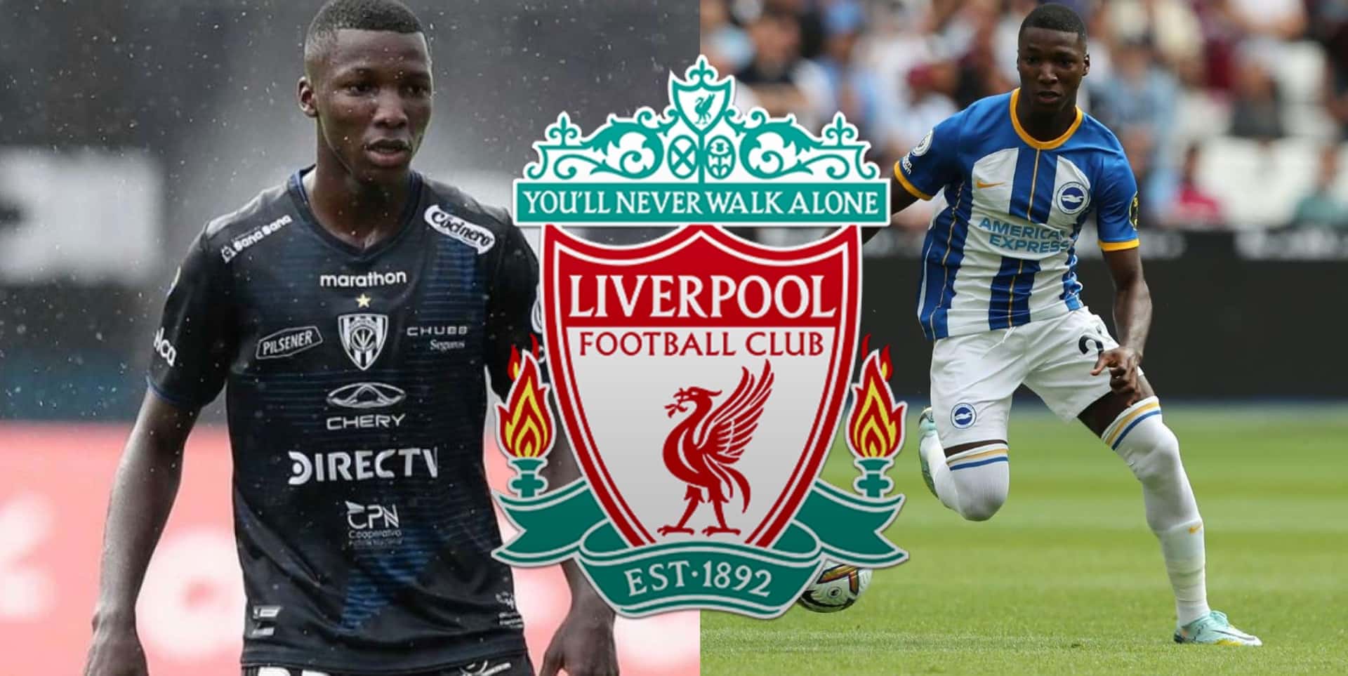 Moisés Caicedo es pretendido por el Liverpool y ofreció una verdadera fortuna