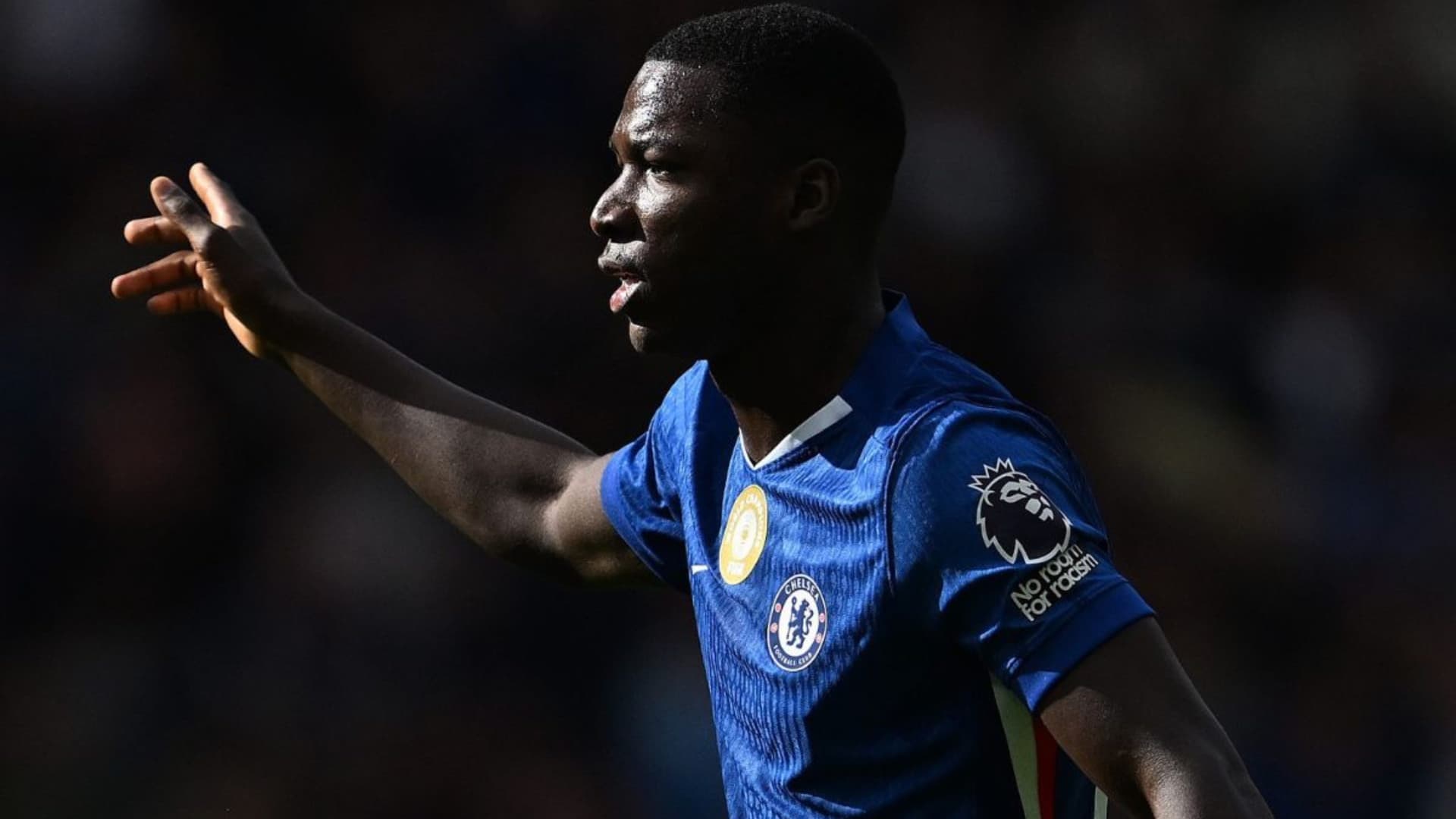 Moisés Caicedo / Foto: Chelsea