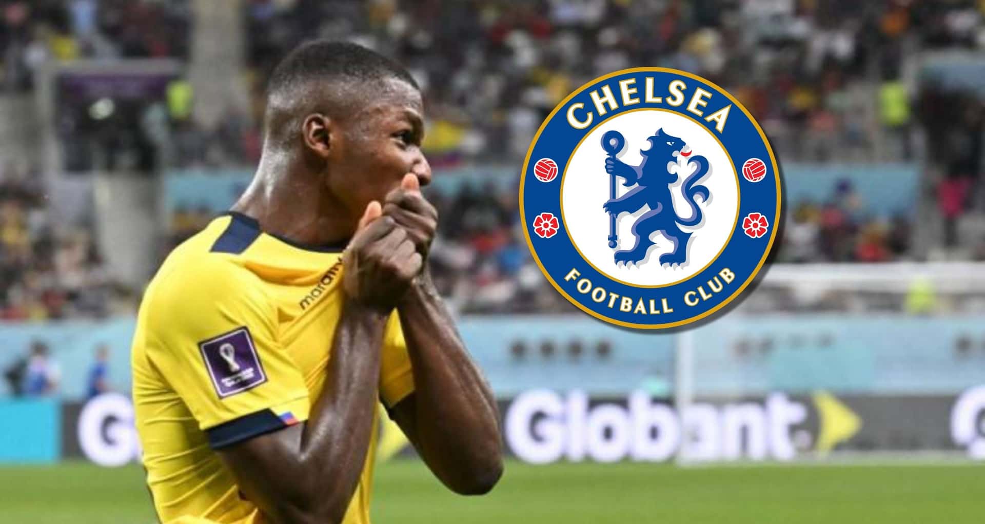 Moisés Caicedo fue de lo mejor que tuvo la Selección Ecuatoriana en el Mundial y dan a conocer la decisión del Chelsea sobre ficharlo
