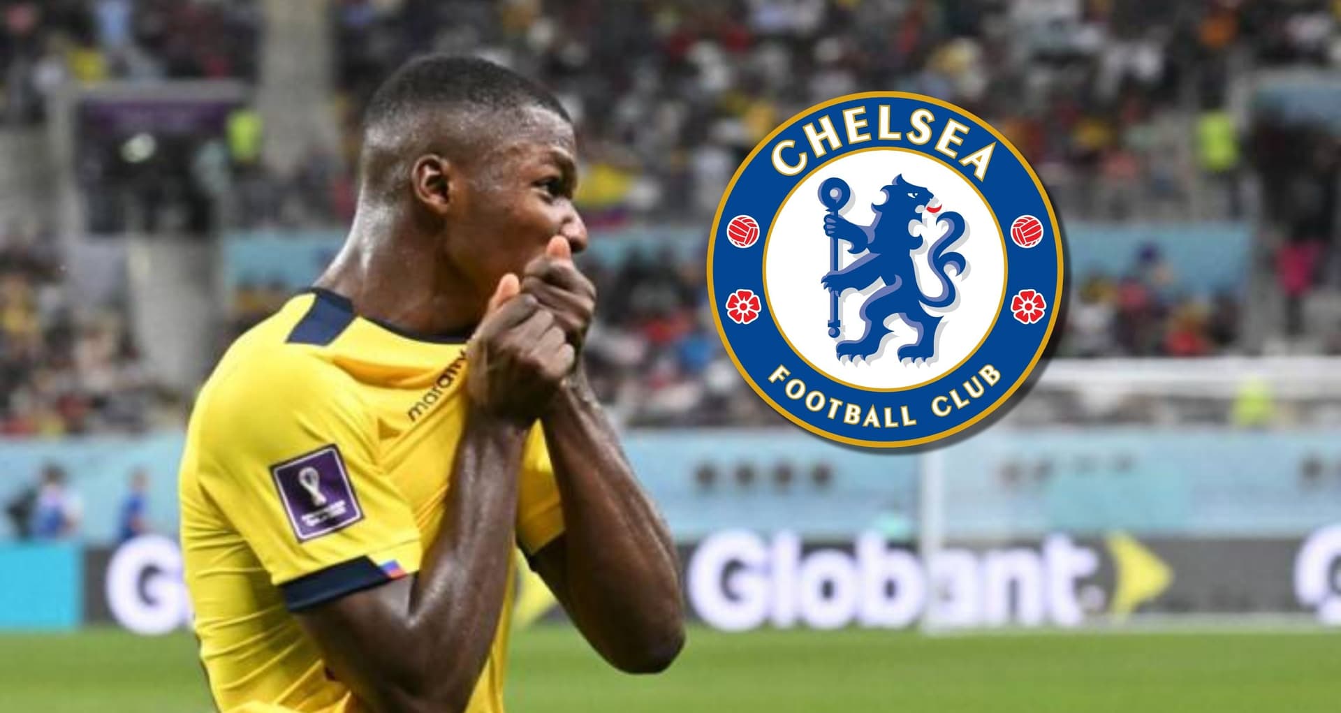 Moisés Caicedo fue de lo mejor que tuvo la Selección Ecuatoriana en el Mundial y dan a conocer la decisión del Chelsea sobre ficharlo
