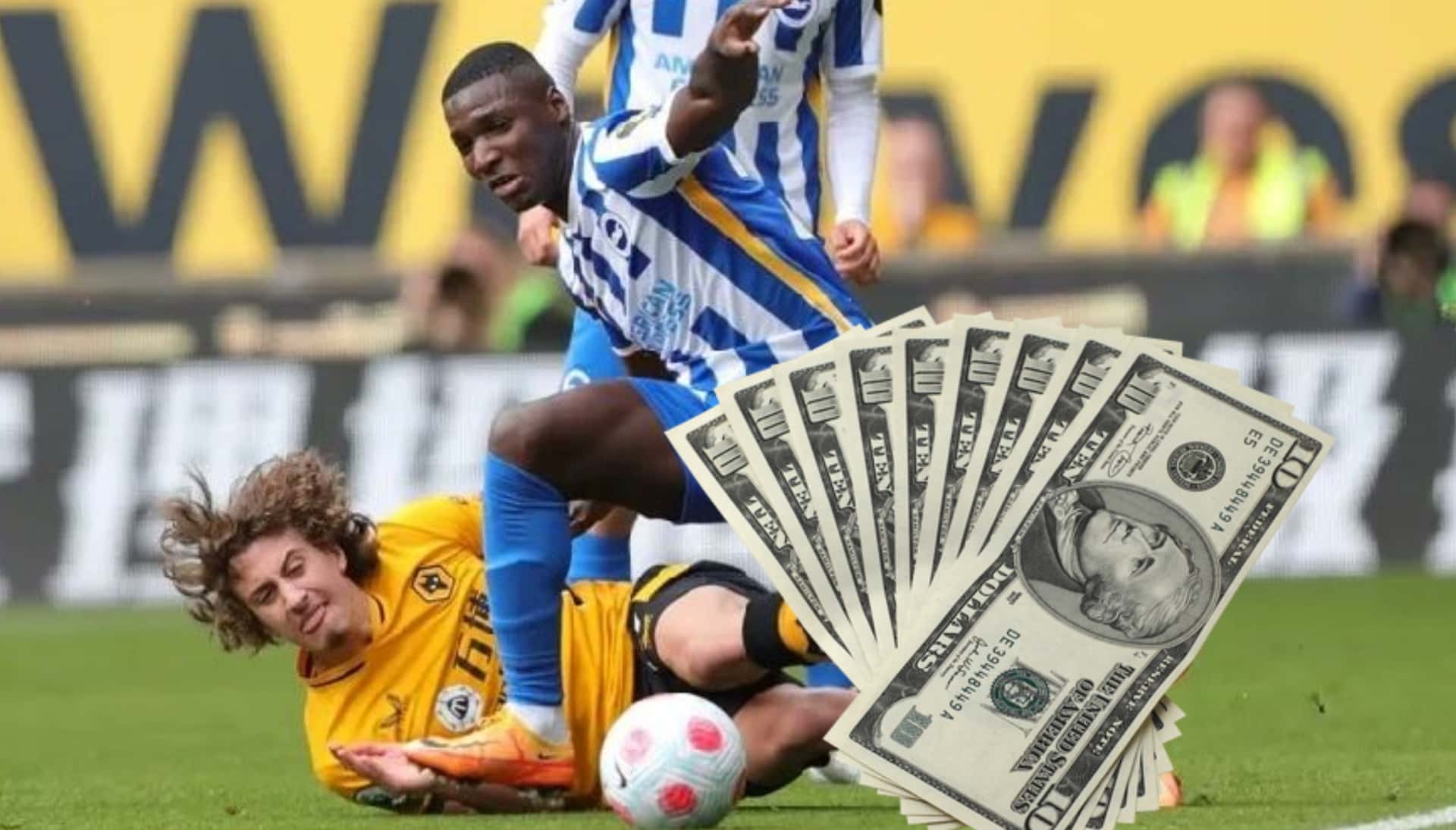 Moisés Caicedo recibió una buena noticia de parte del Brighton y está nominado para ser jugador del mes