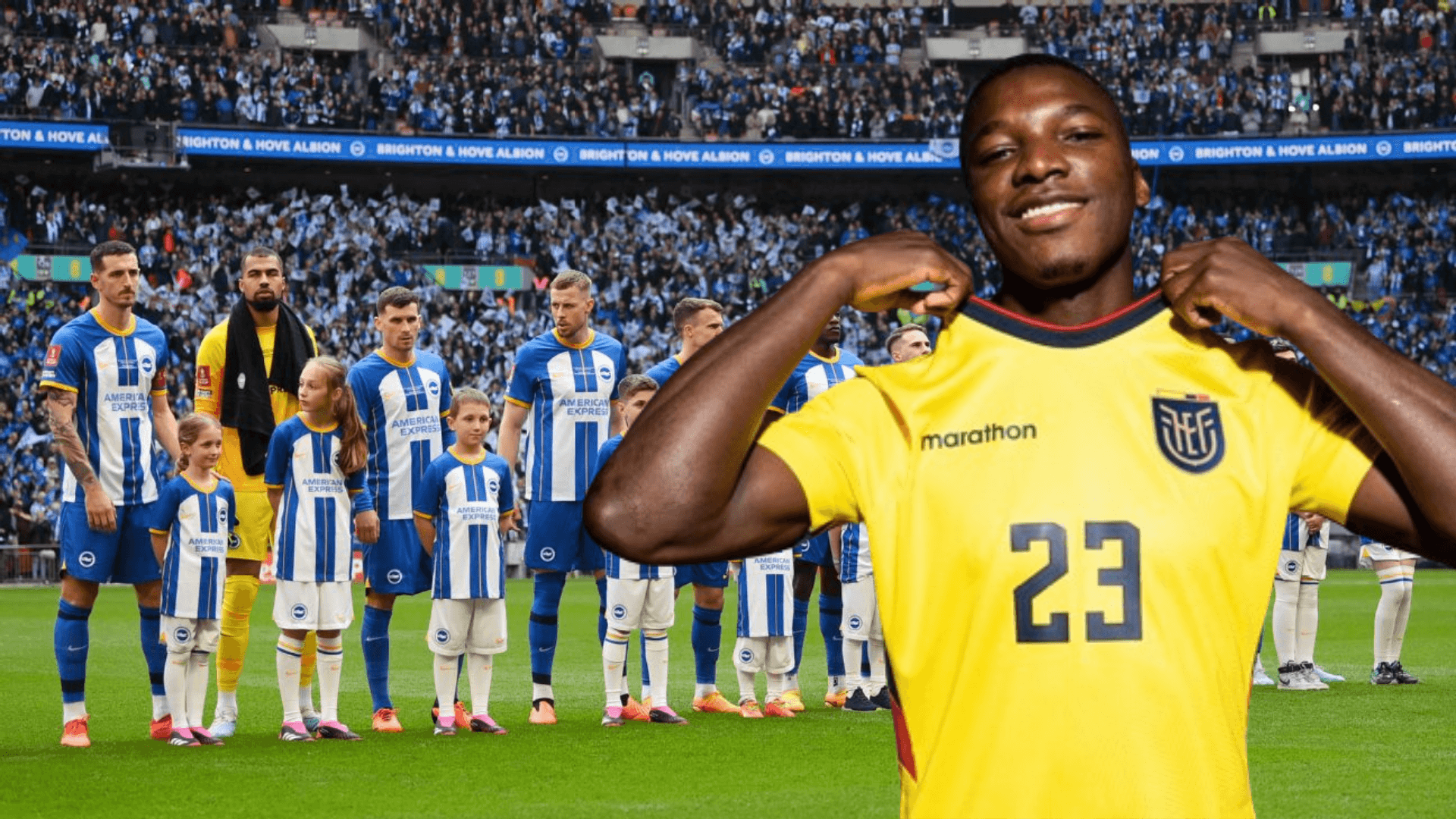 Moisés Caicedo se convirtió en una eminencia en Brighton