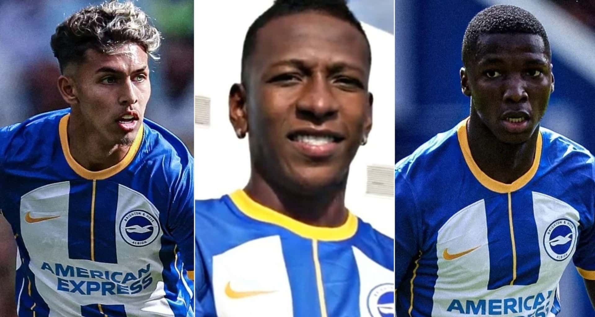 Pervis Estupiñán, Moisés Caicedo y Jeremy Sarmiento tienen a un nuevo entrenador, sin embargo su historia ha sido de fracasos