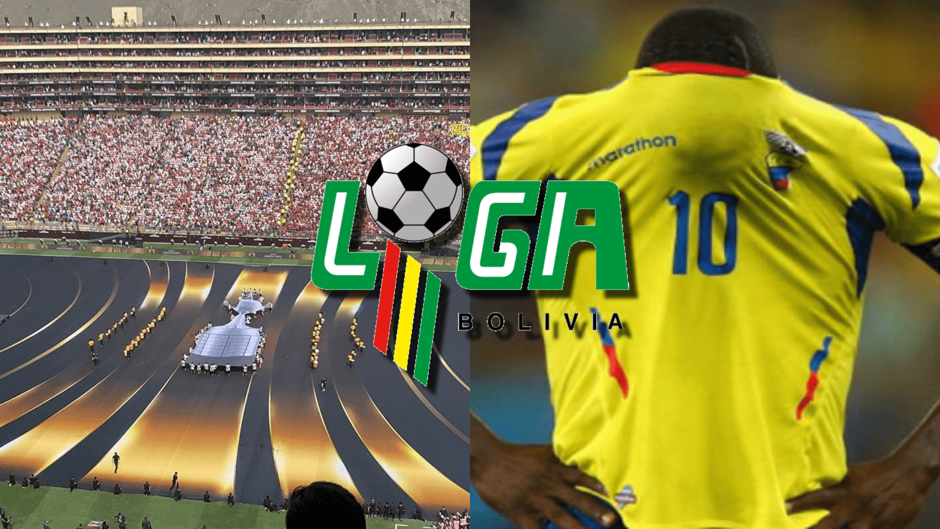 Selección Ecuatoriana-Copa Libertadores / Foto: API
