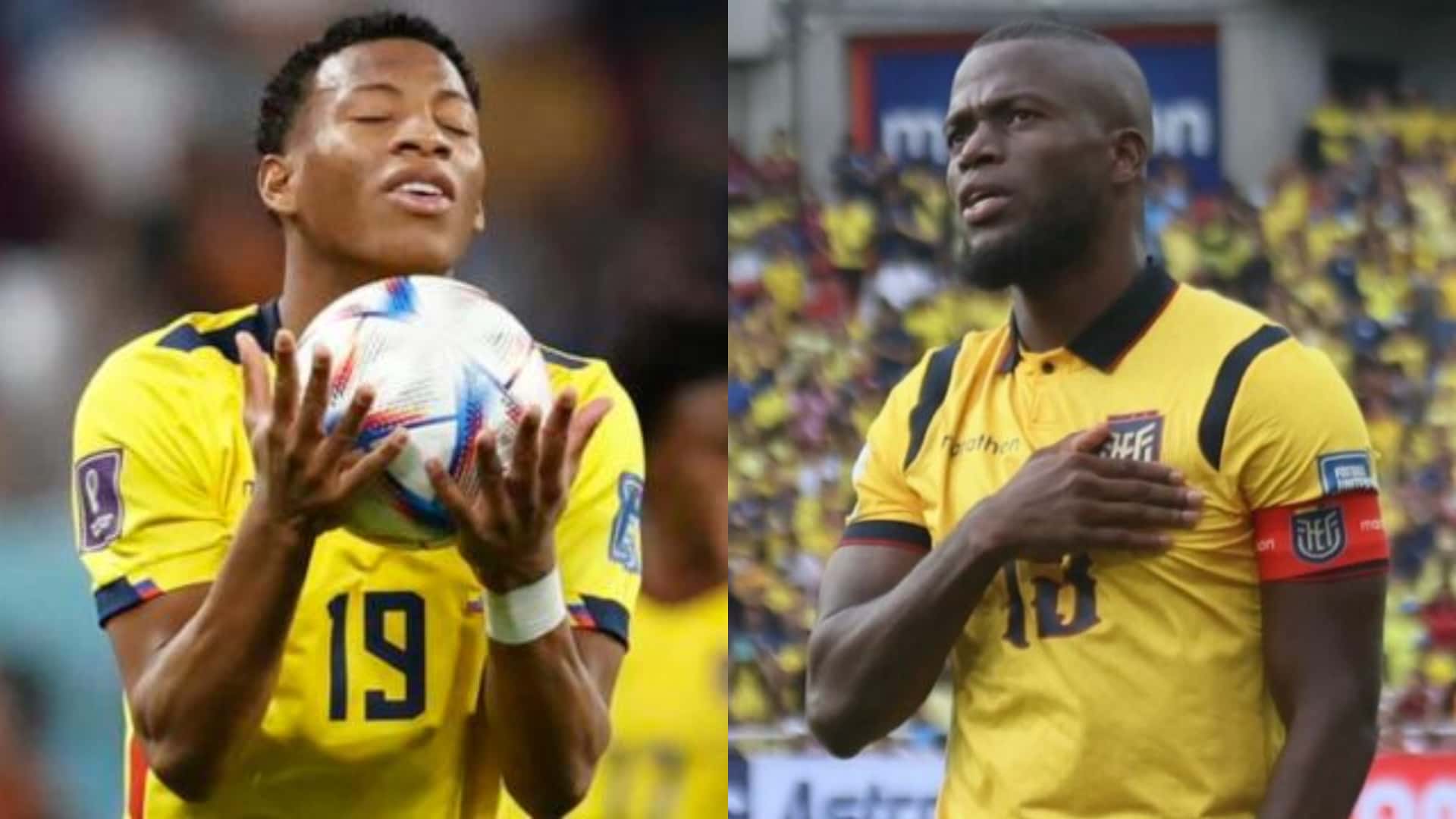 Selección Ecuatoriana-Enner Valencia-Gozalo Plata / Foto: API