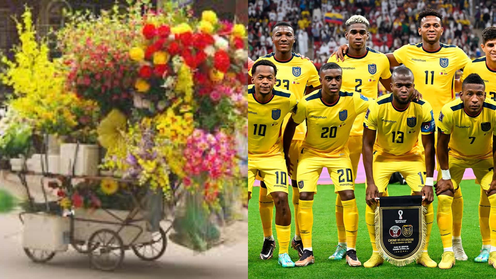 Selección Ecuatoriana / Foto: Marca