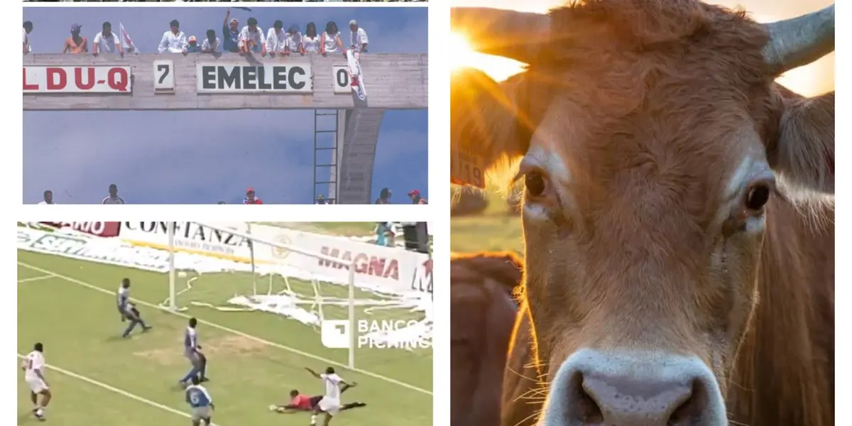 Ulises de la Cruz ex gloria de Liga y la selección, hoy se dedica la ganadería. 