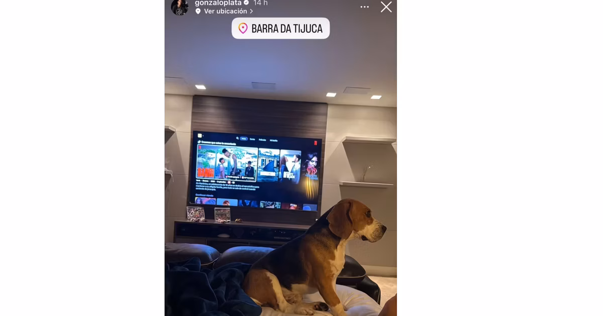 La nueva mascota de Gonzalo Plata