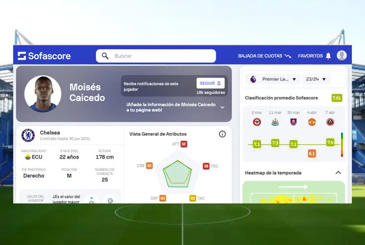 Calificación de Moisés Caicedo en el Chelsea (Foto tomada de: Sofascore)