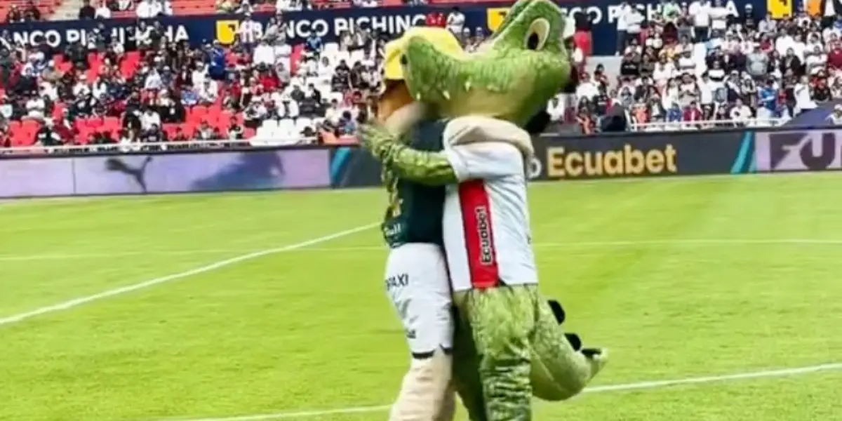 Cocodrigo / Foto: Tik Tok