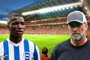 Jürgen Klopp habló otra vez sobre Moisés Caicedo