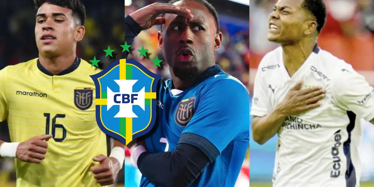 Selección de Brasil-Selección de Ecuador / Foto: Olé
